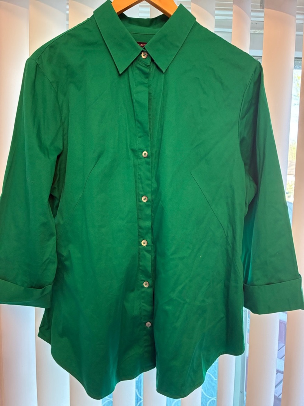 Banana Republic Emerald Green Collared Shirt